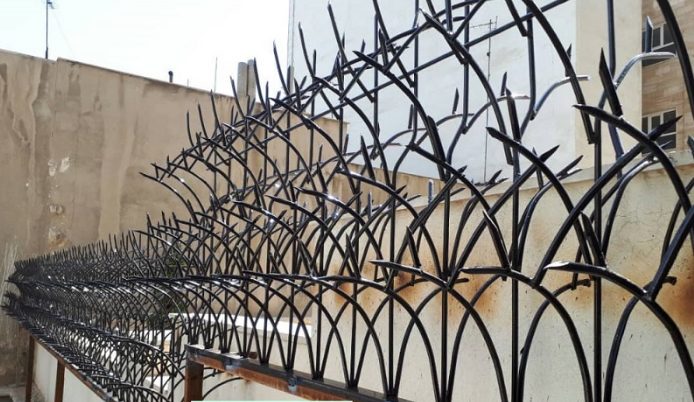 حفاظ شاخ گوزنی کاشان